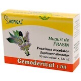 Bourgeons de frêne Gemoderivat, 30 doses uniques, Hofigal