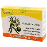 Muguri de Nuc Gemoderivat, 30 monodoze, Hofigal