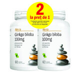 Pak Ginkgo Biloba 100 mg, 60 + 60 tabletten, Alevia