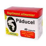 Paducel, 40 capsules, Hofigal