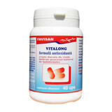 Antioxidant Vitalong (B054), 40 capsules, Favisan