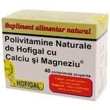 Multivitamines naturelles avec calcium et magnésium, 40 gélules, Hofigal