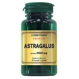 Premium Astragalus-extract 9000mg, 30 capsules, Cosmopharm
