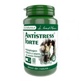 Antistress Forte, 60 capsules, Pro Natura