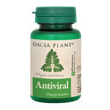 Antiviraal, 60 tabletten, Dacia Plant