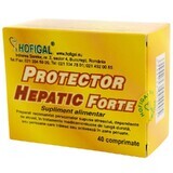 Hepatic Protector Forte, 40 tabletten, Hofigal