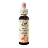 Bach Original Red Chestnut Flower Remedy, 20 ml, Rescue Remedy (remède de secours)