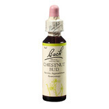 Flower Remedy Wild Chestnut Bud Original Bach bloesemremedie, 20 ml, Rescue Remedy