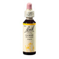 Gorse Original Remedio de Flores de Cebada Silvestre de Bach, 20 ml, Remedio de Rescate