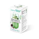 Resveratrol Forte + Co-enzym Q10, 30 capsules, Rotta Natura