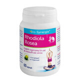 Rhodiola Rosea, 60 capsules, Bio Synergie