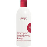 Shampoo met ricinusolie voor gekleurd haar, 400 ml, Ziaja