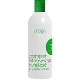 Shampoo voor vet haar met munt, octopirox en brandnetel, 400 ml, Ziaja