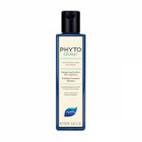 Zuiverende shampoo voor vette hoofdhuid Phytocedrat, 250 ml, Phyto
