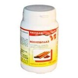 Kaneel, 70 capsules, Favisan