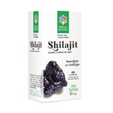 Shilajit, 60 capsules, Divine Star