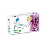 Silymarine 1000 mg, 30 capsules, Helcor