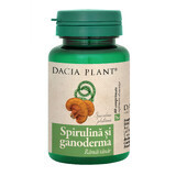 Spirulina en Ganoderma, 60 tabletten, Dacia Plant