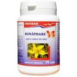 Sunatoare, 70 capsules, Favisan