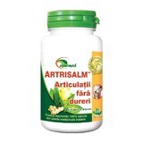 Artrisalm, 100 tablete, Ayurmed