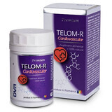 Telom-R Cardiovascular, 120 gélules, Dvr Pharm