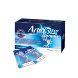 ArtroFlex Compus, 42 Sachets, Terapia