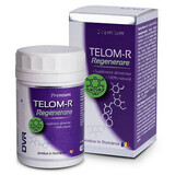 Telom-R Regeneration, 120 Kapseln, Dvr Pharm