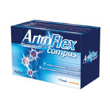 ArthroFlex Compound, 90 tabletten, Therapy