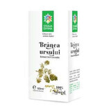 Bear's White Tinctuur, 50 ml, Divine Star