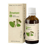 Tintura di brusture, 50 ml, Dacia Plant