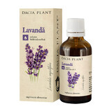 Lavendel tinctuur, 50 ml, Dacia Plant