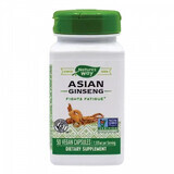 Aziatische ginseng 560 mg Nature's Way, 50 capsules, Secom