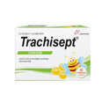Trachisept Junior met honing en citroen, 16 tabletten, Labormed