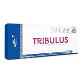Tribulus, 60 capsules, Pro Nutrition