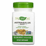 Astragaluswortel Natures Way, 470 mg, 100 capsules, Secom