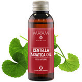 Olio di centella asiatica (M - 1168), 50 ml, Mayam