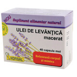 Lavendelolie, 40 capsules, Hofigal