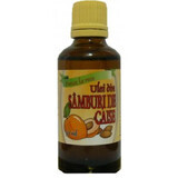 Huile de noyaux d'abricot pressée à froid, 50 ml, Herbavit