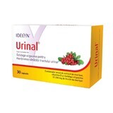 Urinaal, 30 capsules, Walmark