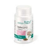 Valeriaanextract 200 mg, 30 capsules, Rotta Natura