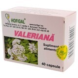 Valeriaan, 40 capsules, Hofigal