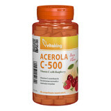 Vitamine C 500 mg met acerola en frambozensmaak, 40 kauwtabletten, Vitaking