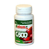 Vitamine C-500 met Macese, 30 tabletten, Adams Vision
