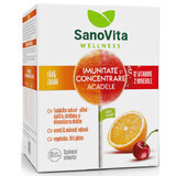 Sucettes sans sucre pour l'immunité et la concentration, 10 pièces, Sanovita Wellness