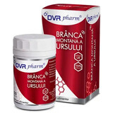 Branca montana a ursus, 120 capsules, Dvr Pharm