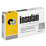 Insulan, 60 tabletten