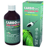 GorVita Carbosal, siroop, cola-smaak, 100 ml