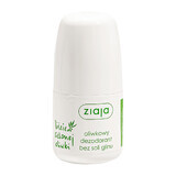 Ziaja Groene Olijfbladeren, roll-on deodorant, 60 ml