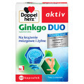 Doppelherz actieve Ginkgo Duo, 60 capsules