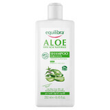 Equilibra Aloe, vochtinbrengende shampoo, aloë, 250 ml